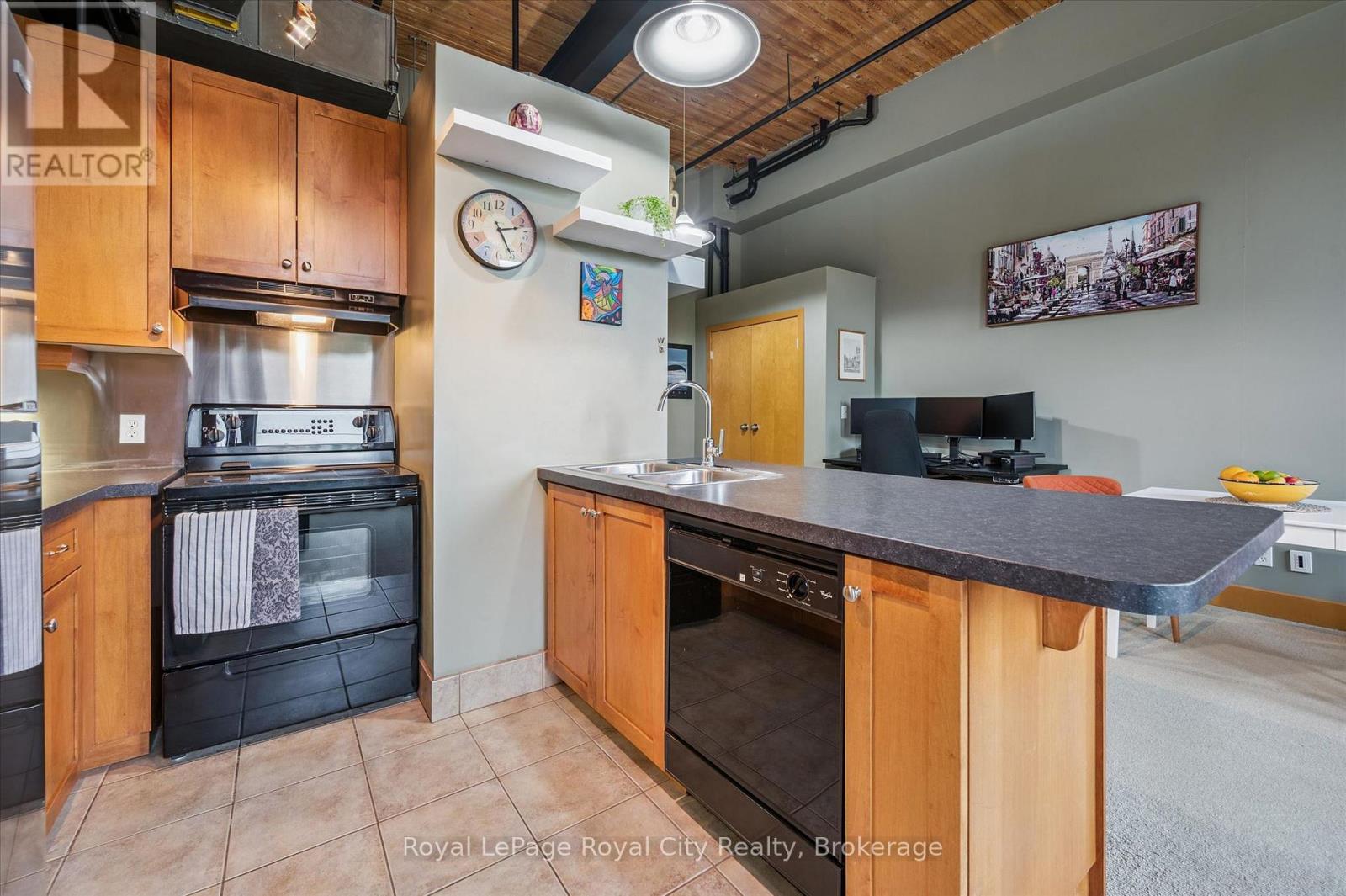 227 - 26 ONTARIO STREET, Guelph (St. Patrick's Ward), Ontario, N1E7K1 — Photo 3