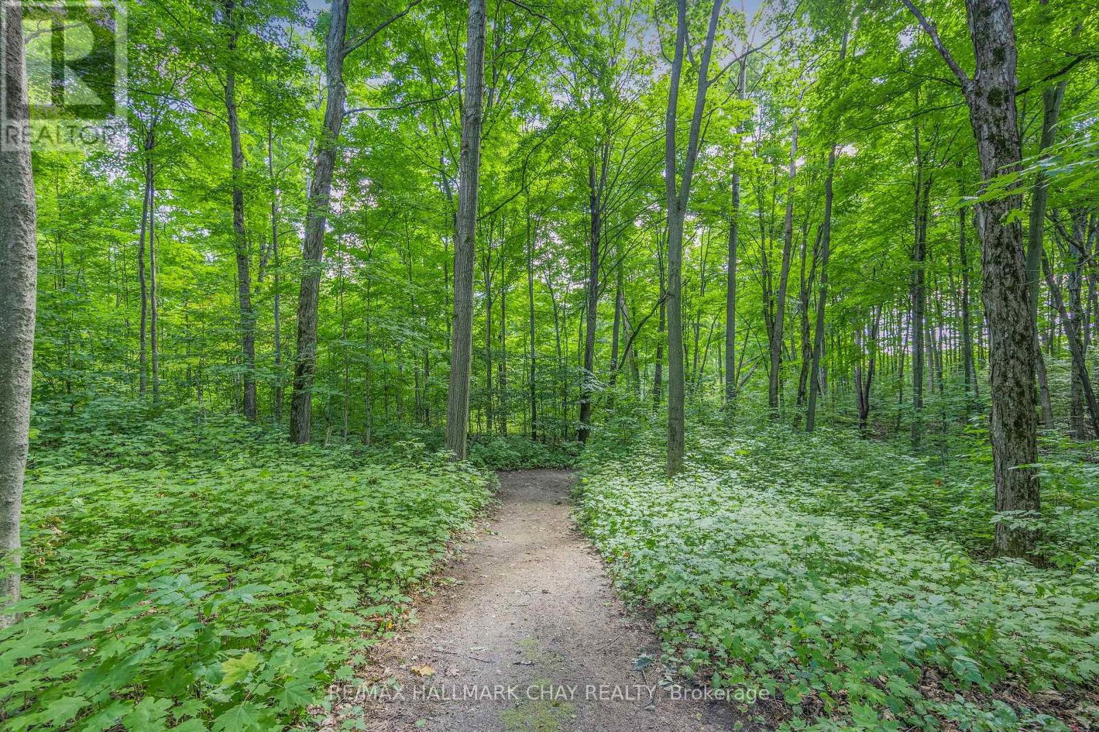 1359 OLD BARRIE ROAD E, Oro-Medonte (Hawkestone), Ontario, L0L1T0 — Photo 50