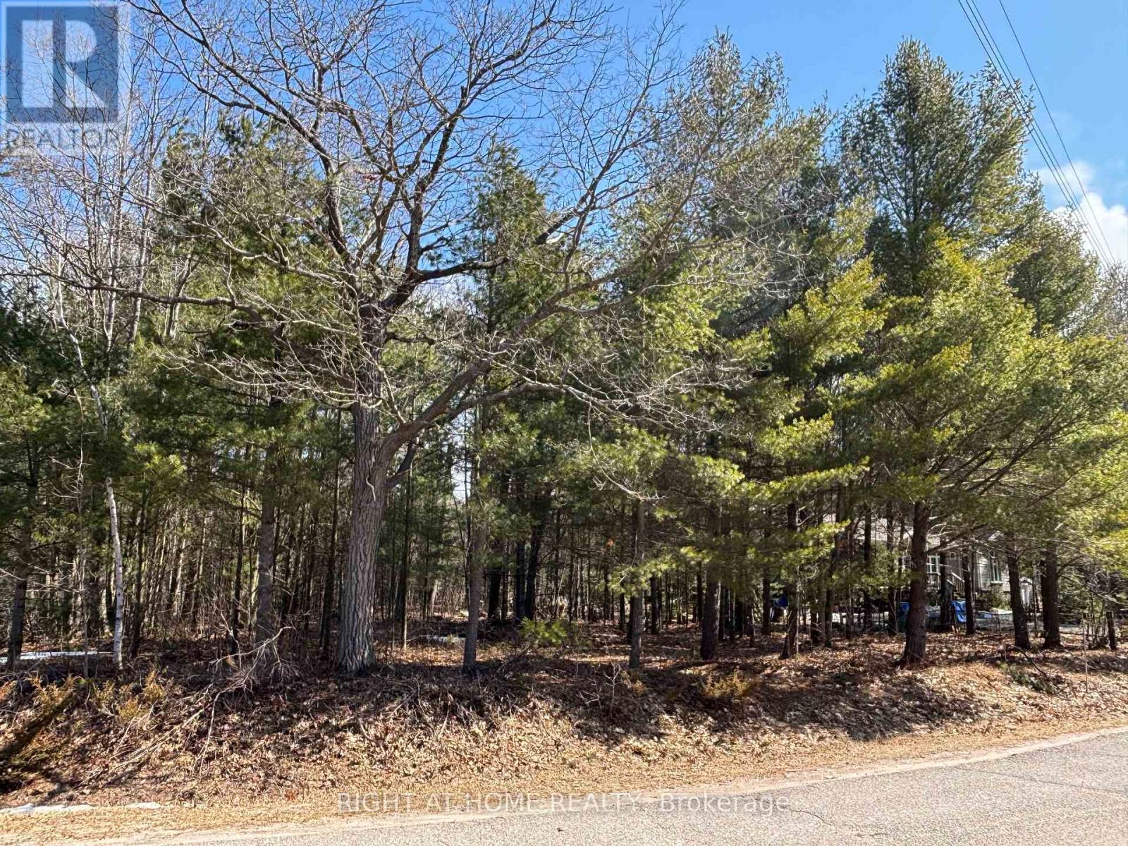 137 NICOLE BOULEVARD, Tiny, Ontario, L0L2T0 — Photo 2