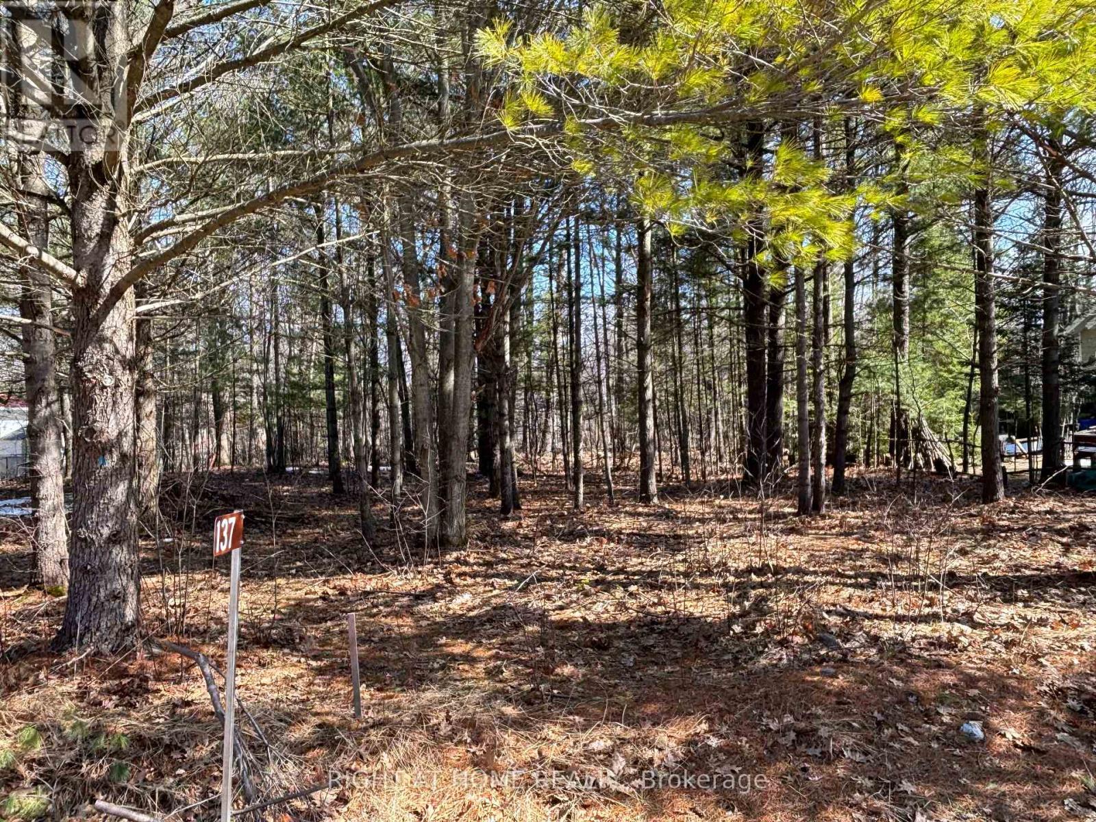 137 NICOLE BOULEVARD, Tiny, Ontario, L0L2T0 — Photo 3