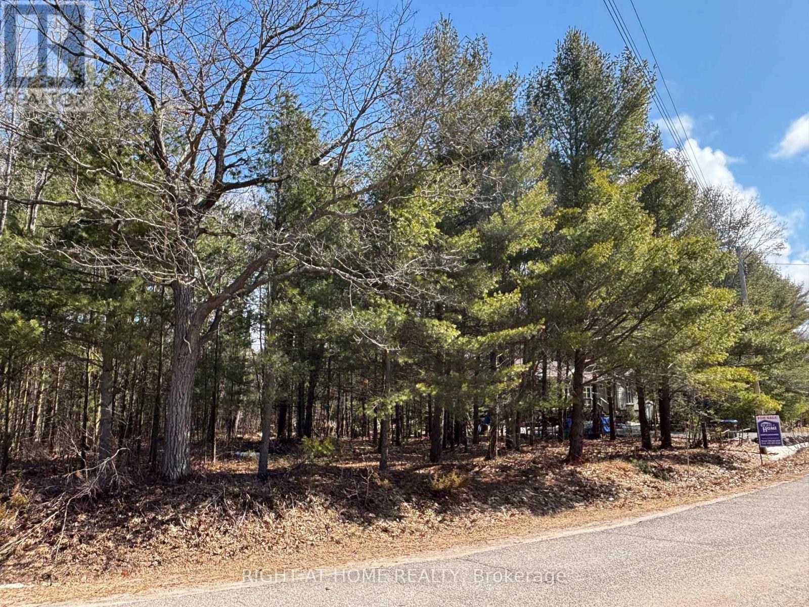 137 NICOLE BOULEVARD, Tiny, Ontario, L0L2T0 — Photo 4