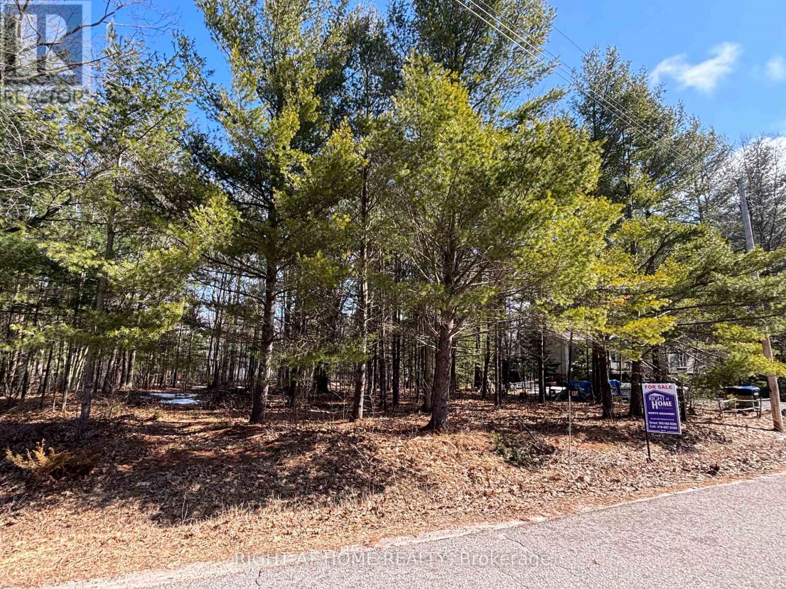 137 NICOLE BOULEVARD, Tiny, Ontario, L0L2T0 — Photo 7