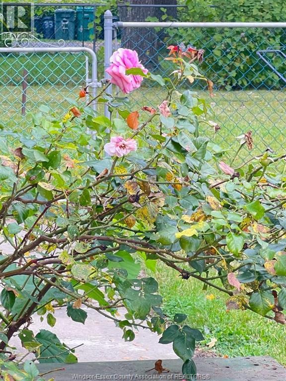 1058 CALIFORNIA, Windsor, Ontario, N9B2Z7 — Photo 22