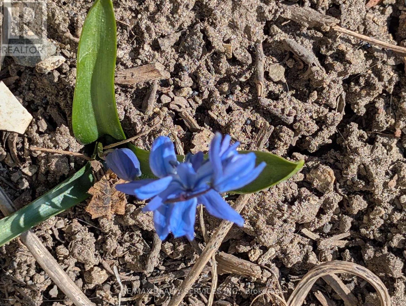 7 HAMLET COURT, Brampton (Central Park), Ontario, L6S1X5 — Photo 50