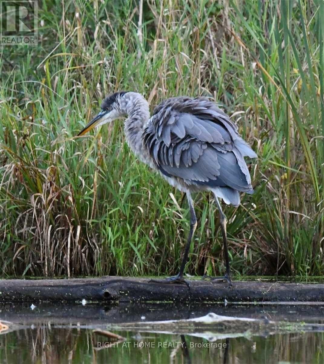 212 - 870 JANE STREET, Toronto (Rockcliffe-Smythe), Ontario, M6N4C2 — Photo 24