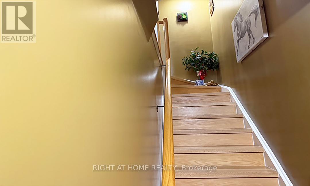 212 - 870 JANE STREET, Toronto (Rockcliffe-Smythe), Ontario, M6N4C2 — Photo 3