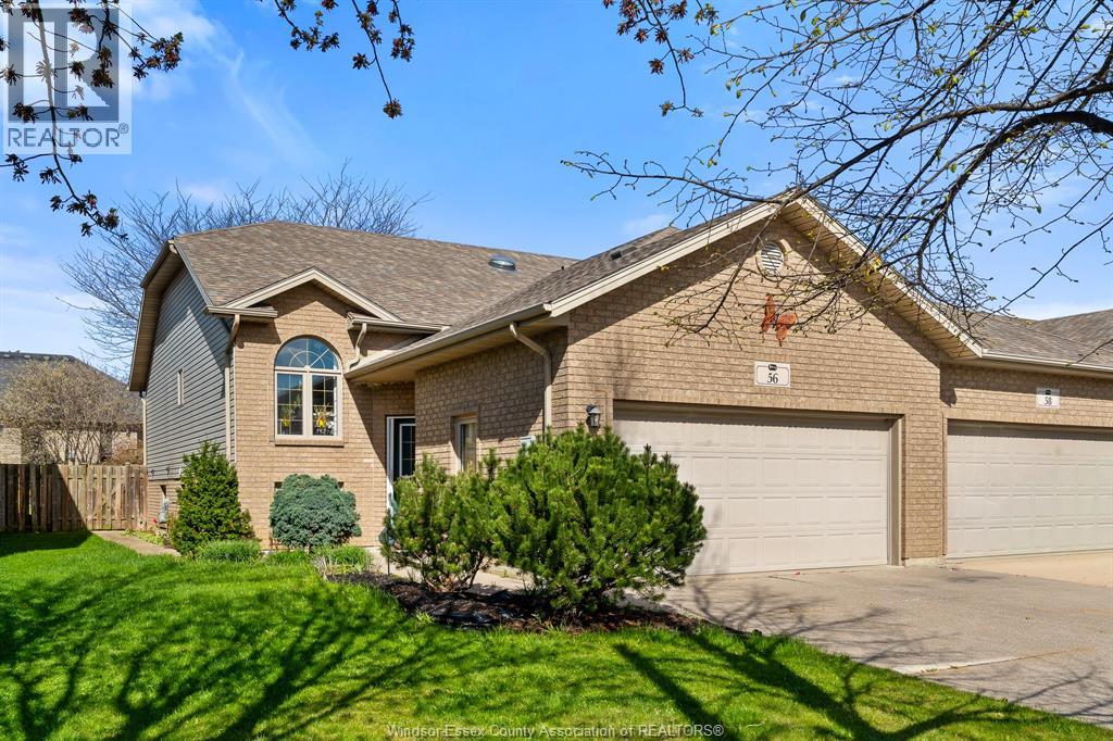 56 ANFRED STREET, Leamington, Ontario, N8H5L3 — Photo 3