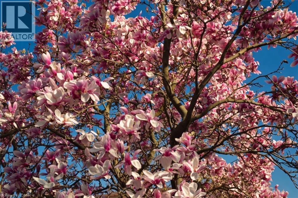 7 CENTRAL PARK Avenue, Dundas, Ontario, L9H2M5 — Photo 50