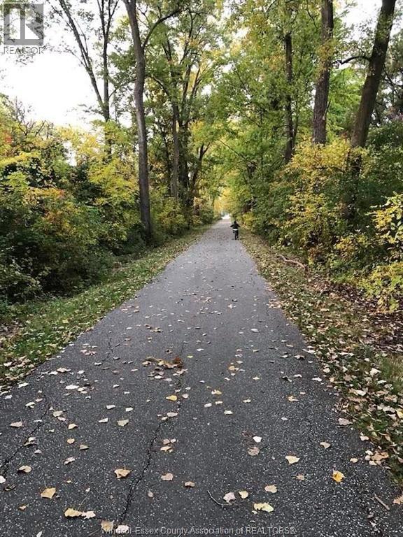 1960 RANDOLPH, Windsor, Ontario, N9B2W5 — Photo 46