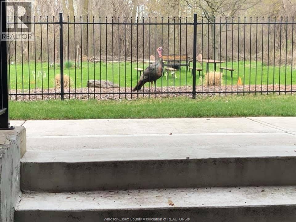 1960 RANDOLPH, Windsor, Ontario, N9B2W5 — Photo 47