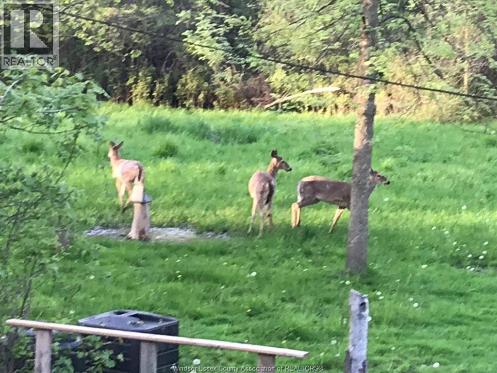 1960 RANDOLPH, Windsor, Ontario, N9B2W5 — Photo 50