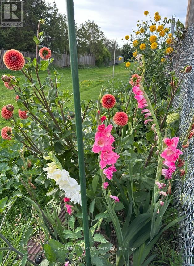 BSMT - 6 STONEBRIDGE BOULEVARD, Toronto (L'Amoreaux), Ontario, M1W4A7 — Photo 17