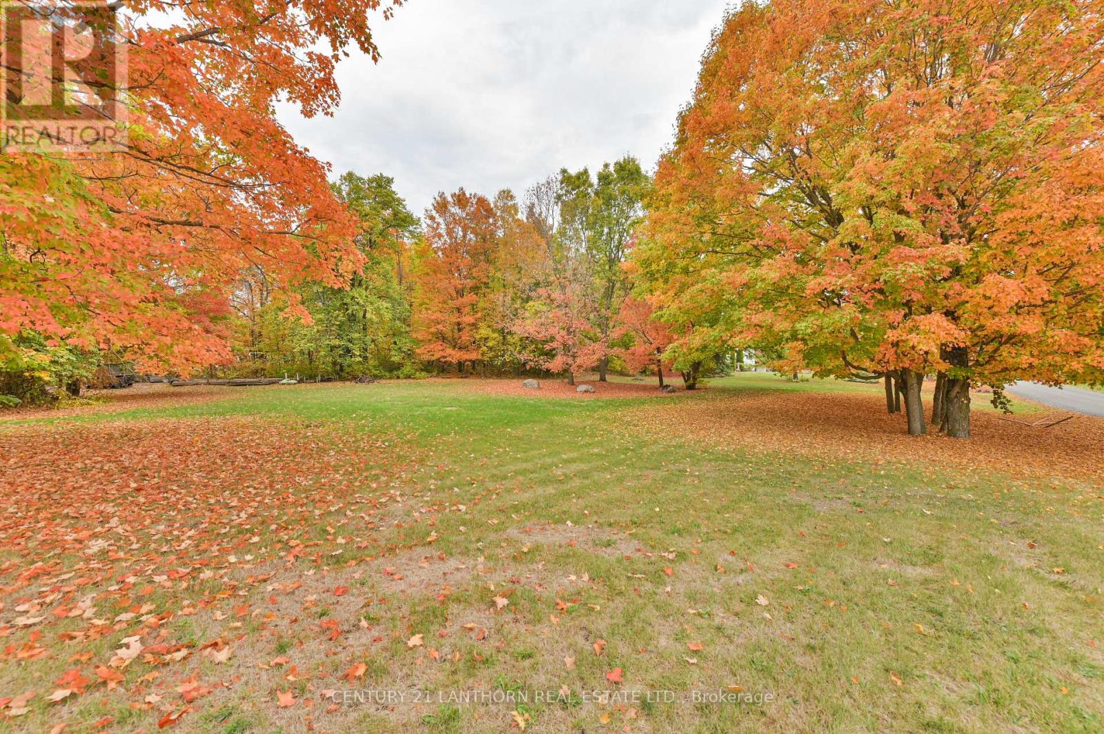 93 TANNERY ROAD, Madoc, Ontario, K0K2K0 — Photo 39