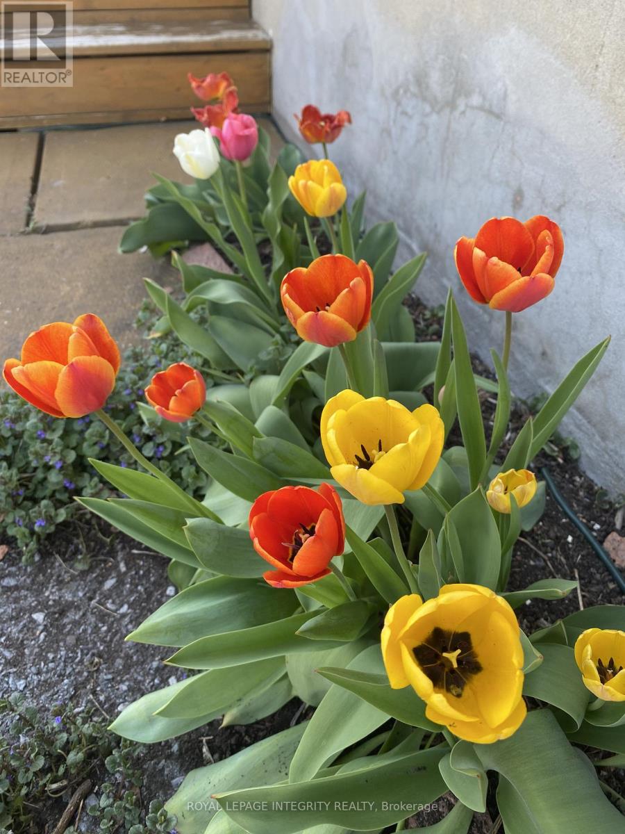 3264 JOHNSTON AVENUE, Cornwall, Ontario, K6K1H3 — Photo 22