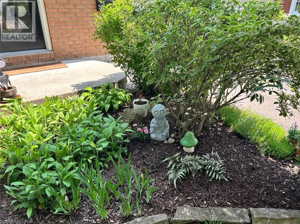 218 BLAIR Road, Cambridge, Ontario, N1S2J8 — Photo 33