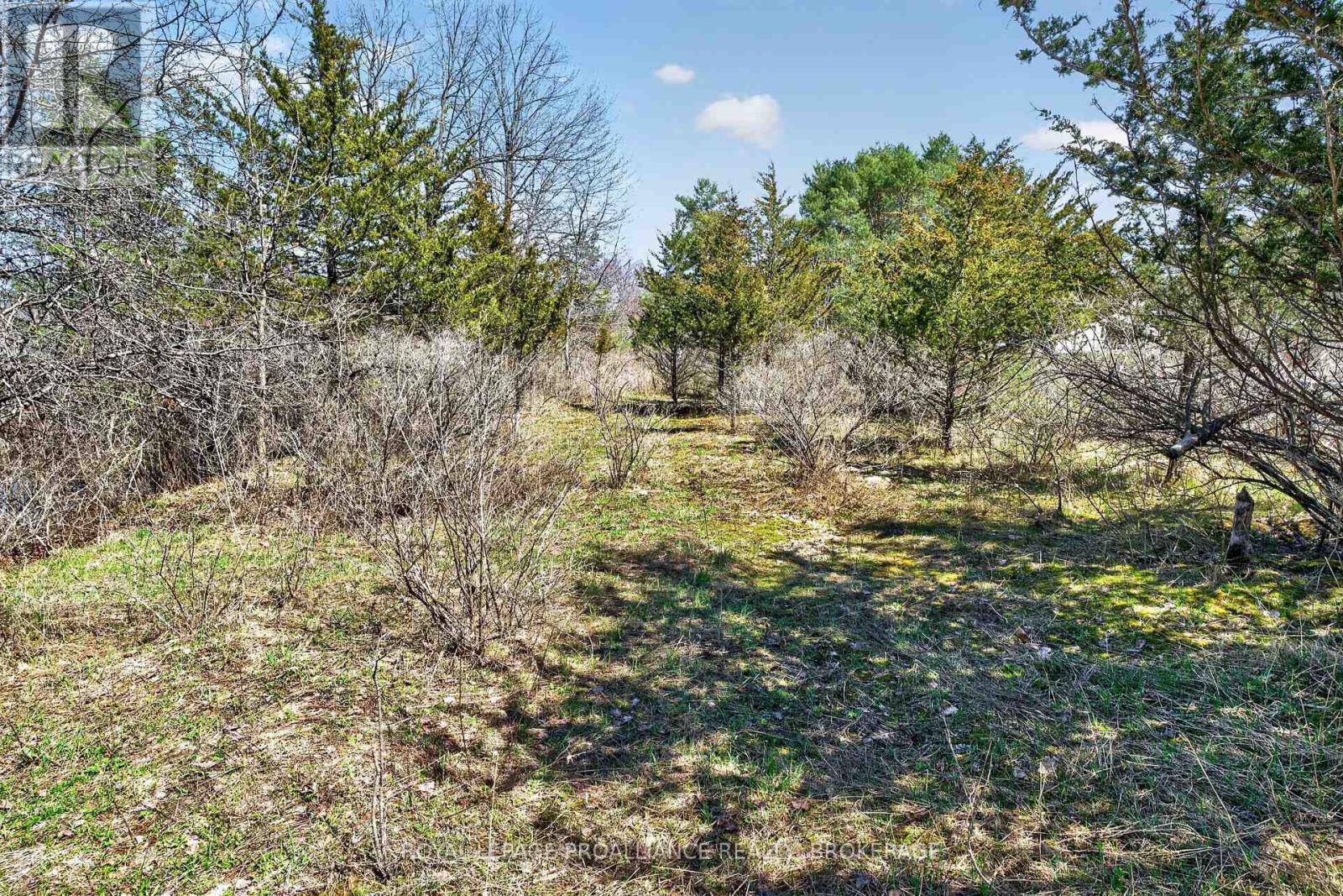 PT LT 4 BLUE HERON LANE, Rideau Lakes, Ontario, K0G1X0 — Photo 11