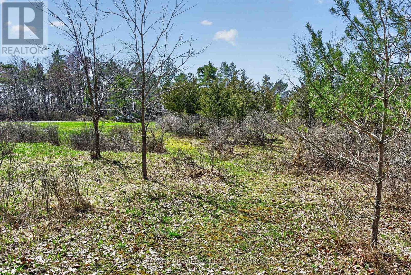 PT LT 4 BLUE HERON LANE, Rideau Lakes, Ontario, K0G1X0 — Photo 4