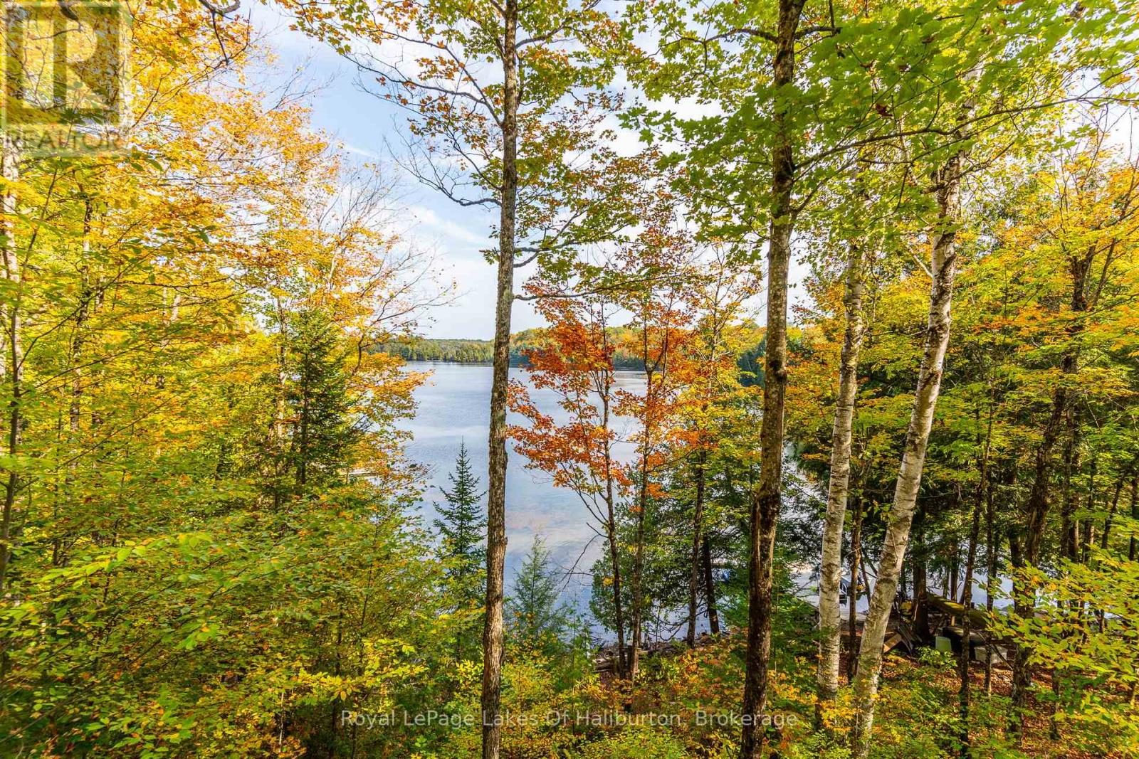 127 RUSSELL DRIVE, Trent Lakes, Ontario, K0M2A0 — Photo 10