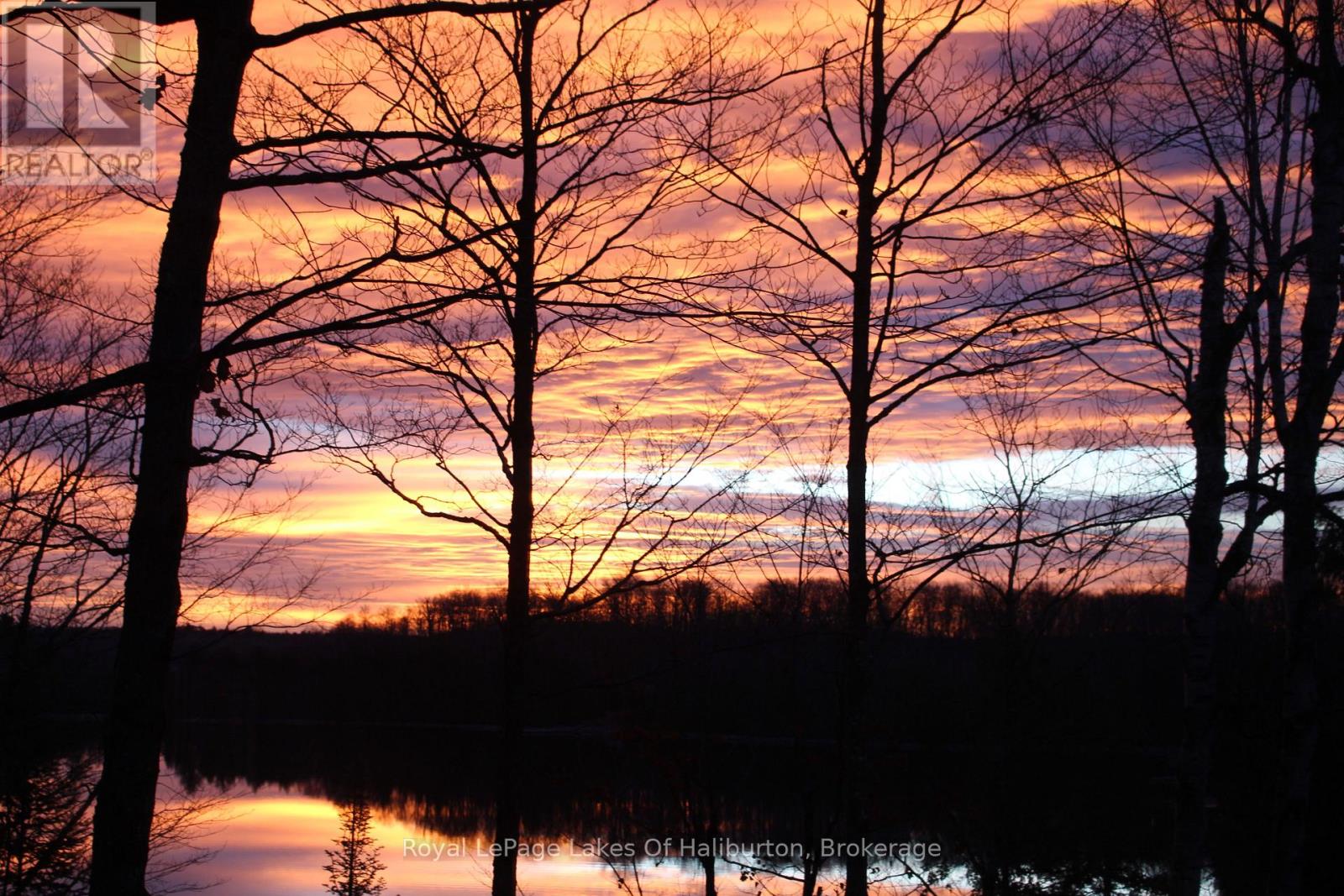 127 RUSSELL DRIVE, Trent Lakes, Ontario, K0M2A0 — Photo 6