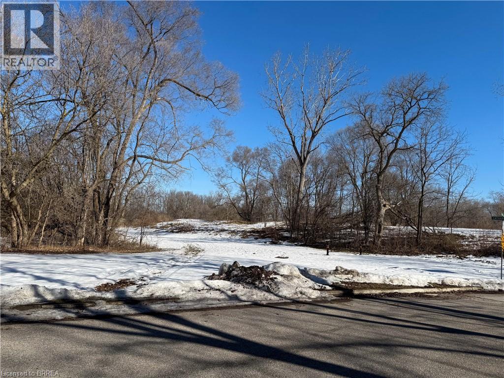 36 GRAHAM Avenue Unit# 3, Brantford, Ontario, N3T1C4 — Photo 29