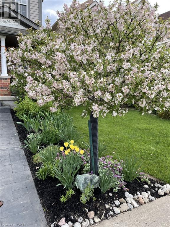 126 SNOWDROP Crescent, Kitchener, Ontario, N2E4G7 — Photo 36