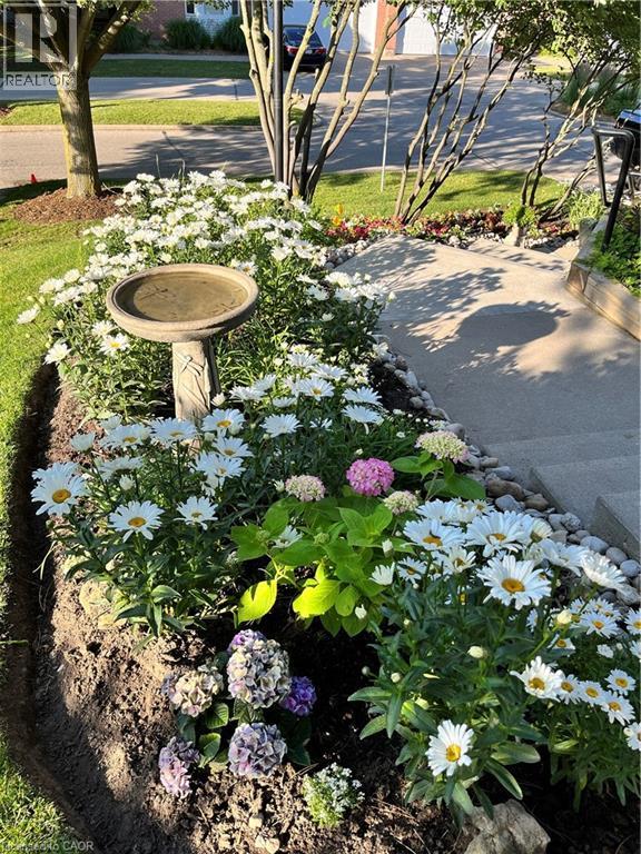 341 GEORGE Street N Unit# 4, Cambridge, Ontario, N1S4X7 — Photo 41