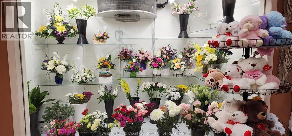 3681 TECUMSEH ROAD East Unit# B, Windsor, Ontario, N8W1H8 — Photo 3