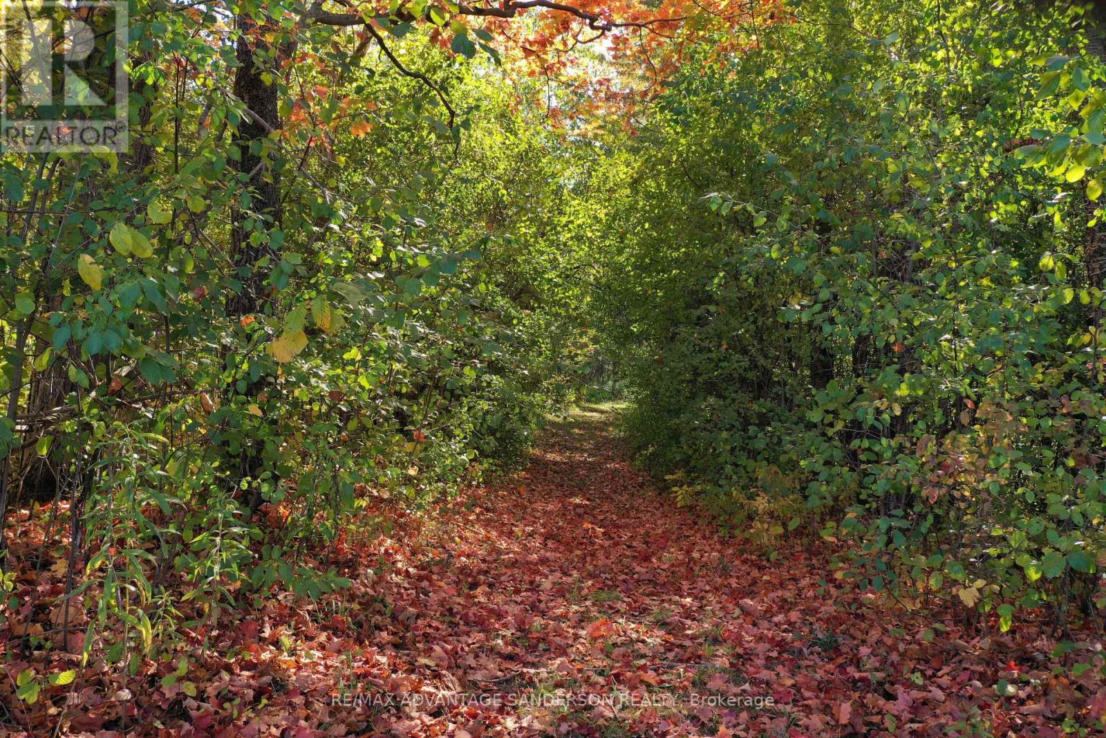 13157 MEDWAY ROAD, Middlesex Centre, Ontario, N0M1C0 — Photo 18