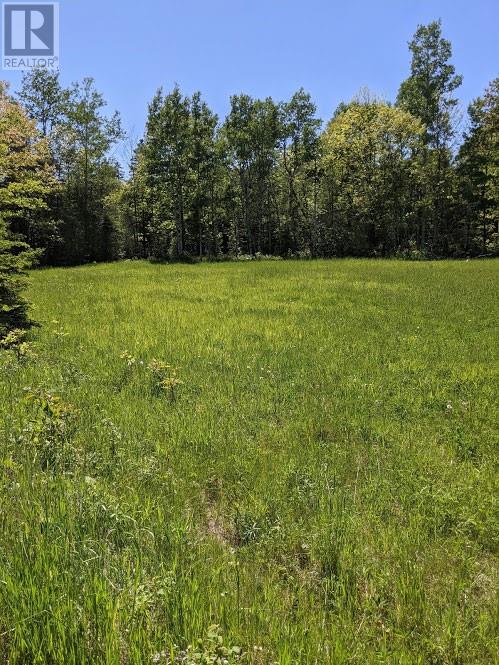 PL9C15 Assiginack, South Bay Mouth, Ontario, P0P1Z0 — Photo 10