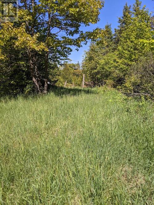 PL9C15 Assiginack, South Bay Mouth, Ontario, P0P1Z0 — Photo 11