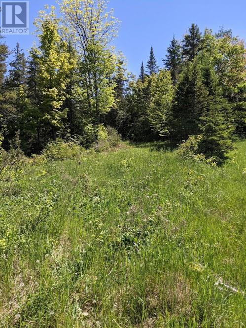 PL9C15 Assiginack, South Bay Mouth, Ontario, P0P1Z0 — Photo 12