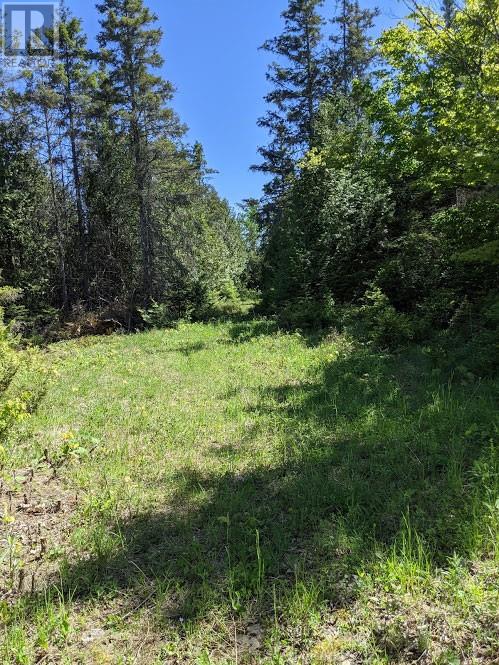 PL9C15 Assiginack, South Bay Mouth, Ontario, P0P1Z0 — Photo 13