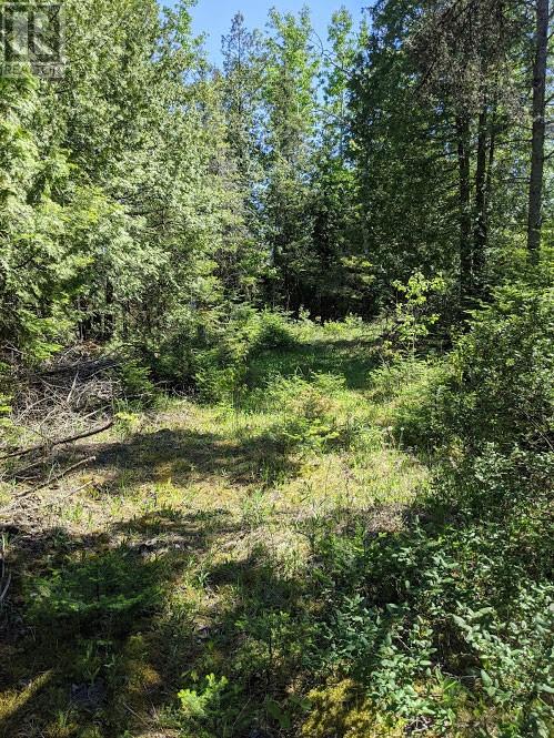 PL9C15 Assiginack, South Bay Mouth, Ontario, P0P1Z0 — Photo 14