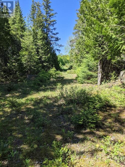 PL9C15 Assiginack, South Bay Mouth, Ontario, P0P1Z0 — Photo 15