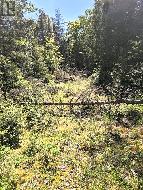 PL9C15 Assiginack, South Bay Mouth, Ontario, P0P1Z0 — Photo 16