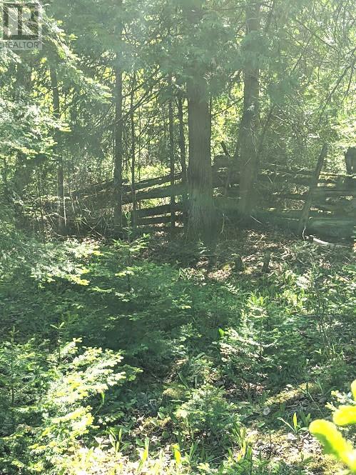 PL9C15 Assiginack, South Bay Mouth, Ontario, P0P1Z0 — Photo 17