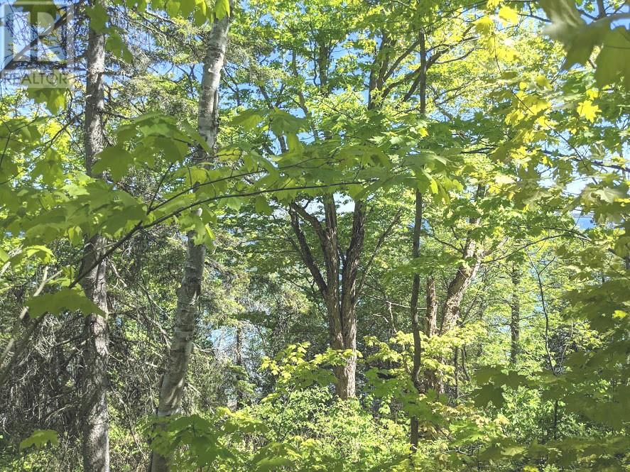 PL9C15 Assiginack, South Bay Mouth, Ontario, P0P1Z0 — Photo 18