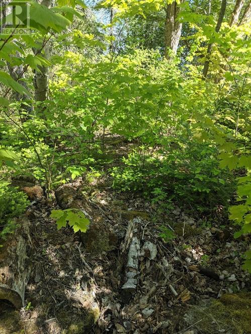 PL9C15 Assiginack, South Bay Mouth, Ontario, P0P1Z0 — Photo 19