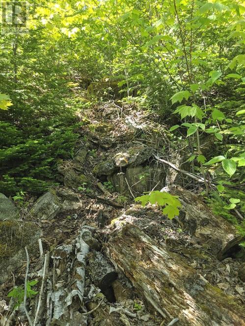 PL9C15 Assiginack, South Bay Mouth, Ontario, P0P1Z0 — Photo 20