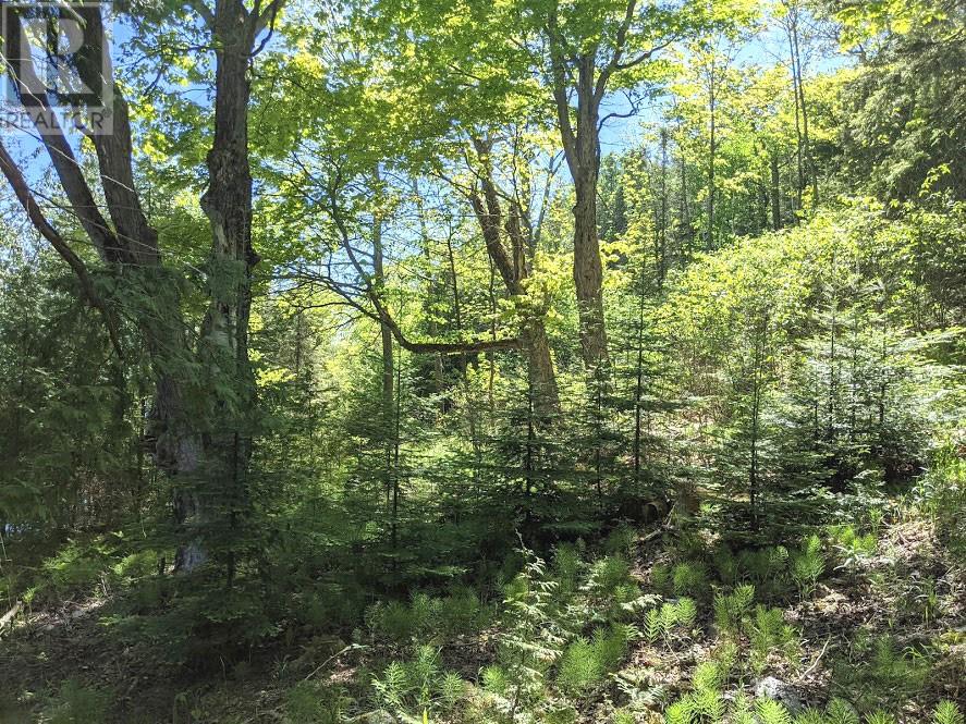 PL9C15 Assiginack, South Bay Mouth, Ontario, P0P1Z0 — Photo 27