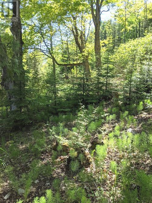 PL9C15 Assiginack, South Bay Mouth, Ontario, P0P1Z0 — Photo 28