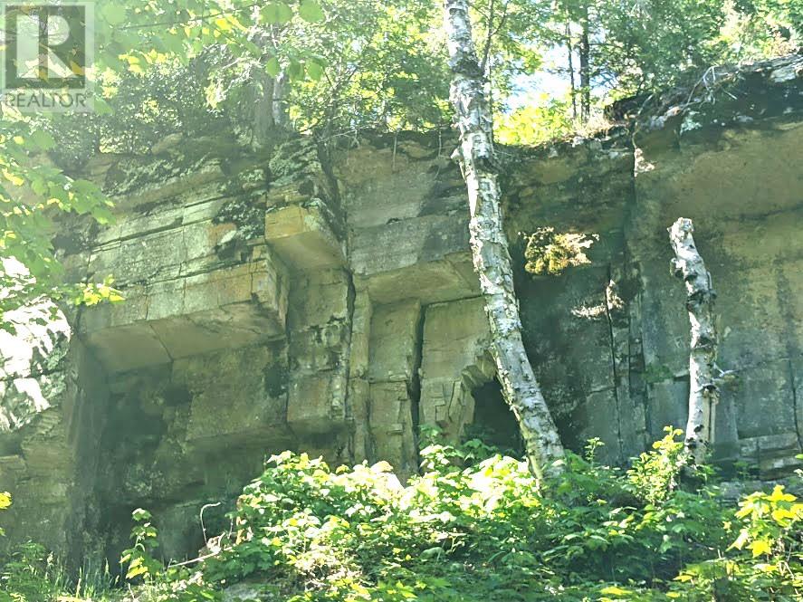 PL9C15 Assiginack, South Bay Mouth, Ontario, P0P1Z0 — Photo 29