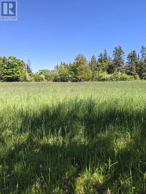 PL9C15 Assiginack, South Bay Mouth, Ontario, P0P1Z0 — Photo 8