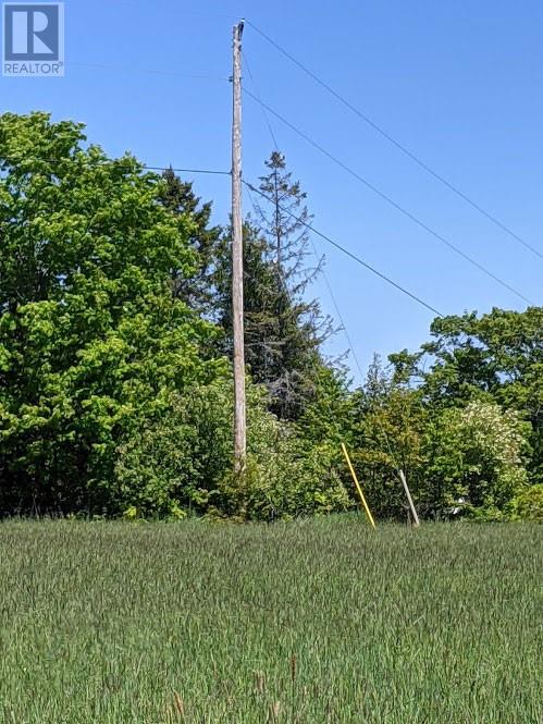 PL9C15 Assiginack, South Bay Mouth, Ontario, P0P1Z0 — Photo 9