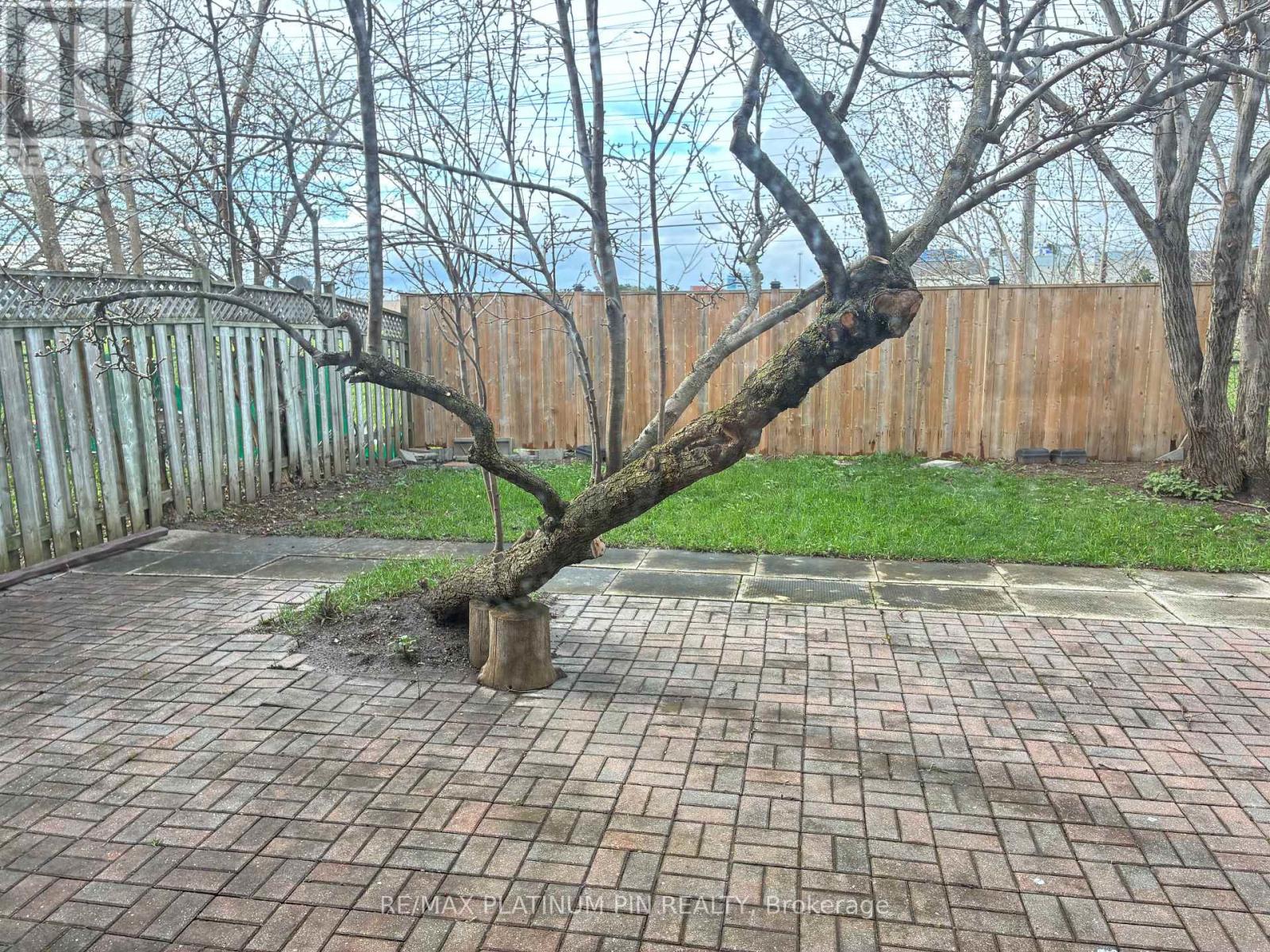 LOWER LEVEL - 315 APACHE TRAIL, Toronto (Pleasant View), Ontario, M2H2W6 — Photo 6