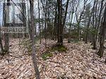 LOT 705 WOLFE TRAIL, Tiny, Ontario, L9M0H7 — Photo 2