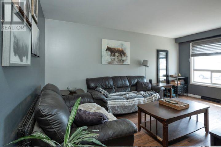 326 Dewe Ave, Thunder Bay, Ontario, P7A2G3 — Photo 4