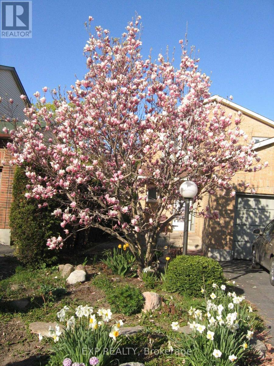 31 COOLSPRING CRESCENT, Ottawa, Ontario, K2E7M9 — Photo 46