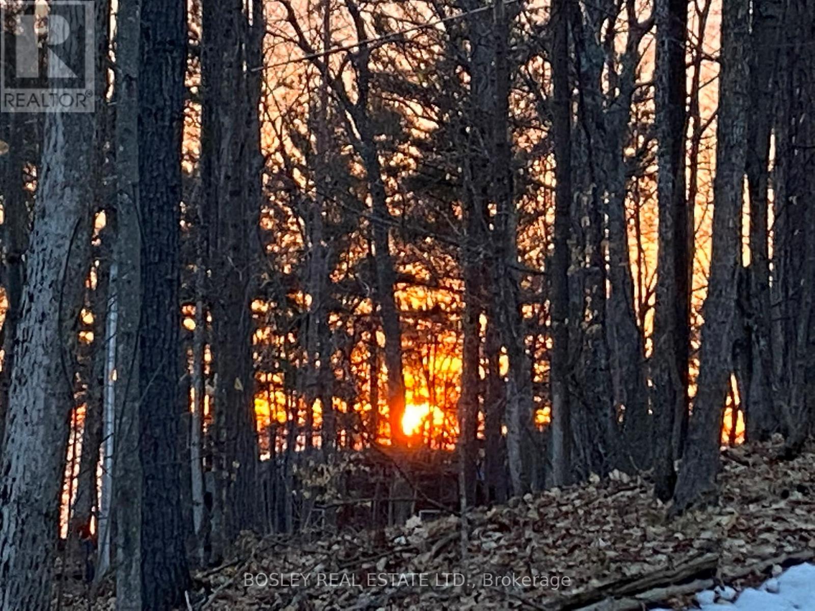 1204 TINY BEACHES ROAD N, Tiny, Ontario, L9M0H7 — Photo 36