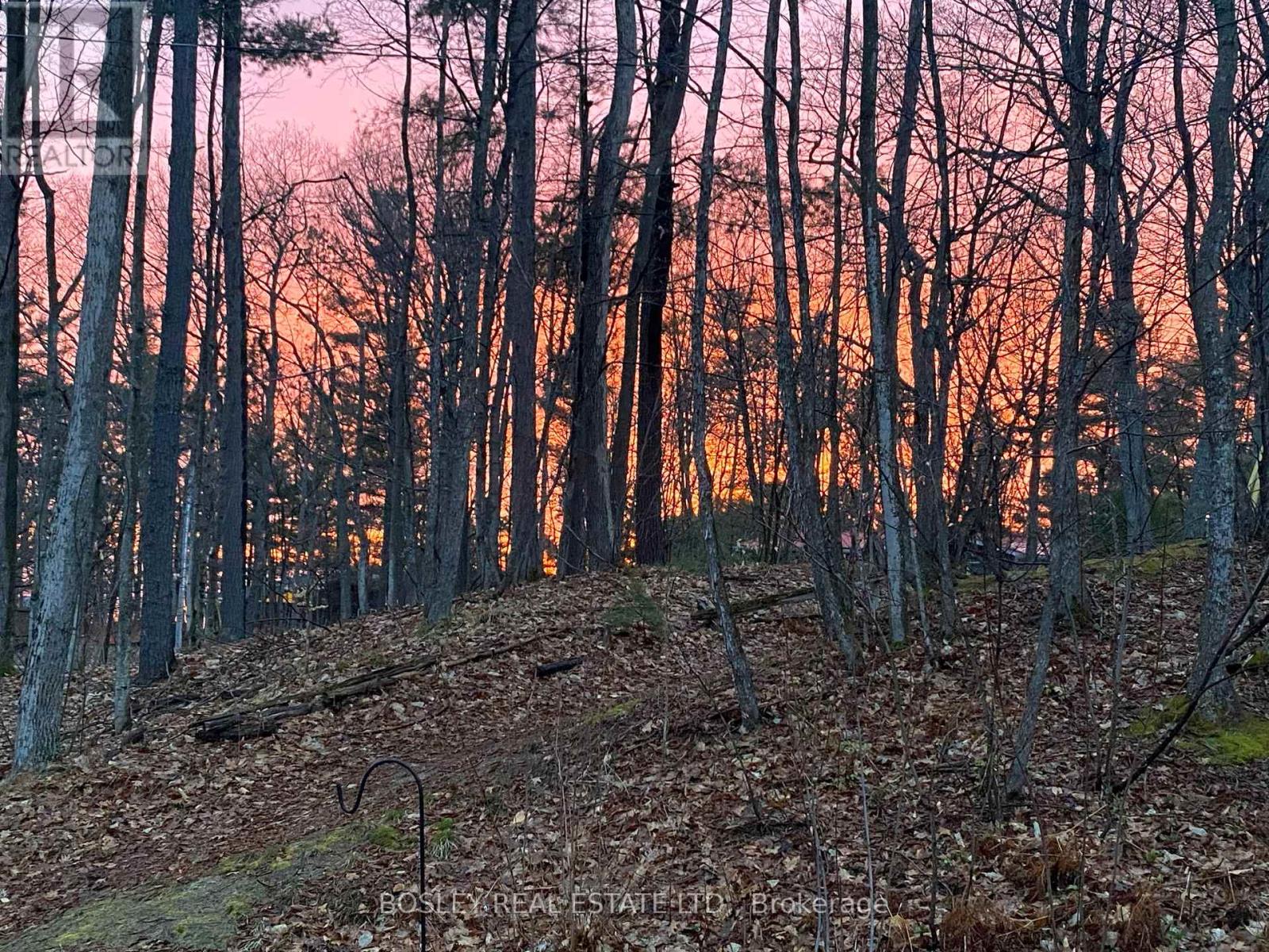 1204 TINY BEACHES ROAD N, Tiny, Ontario, L9M0H7 — Photo 37